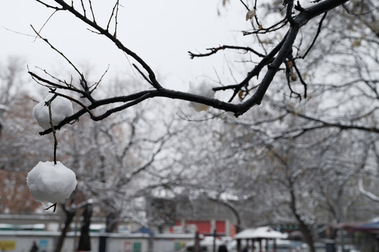 西安雪景