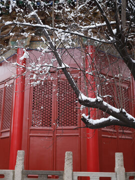 西安雪景