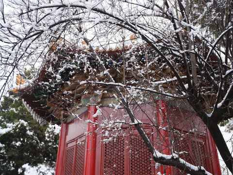 西安雪景