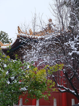 西安雪景