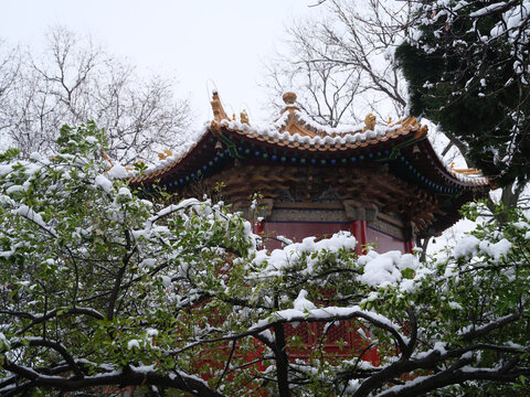 西安雪景