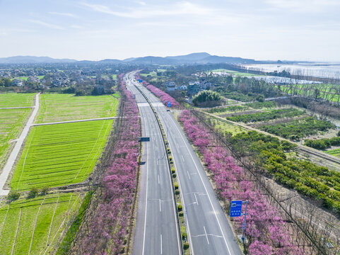 春天的马路