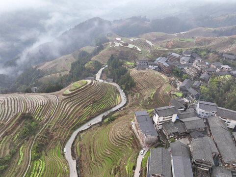 龙脊梯田云海