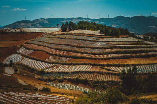 东川红土地