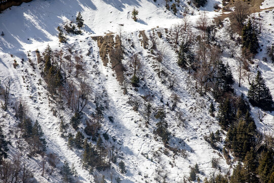 白马雪山