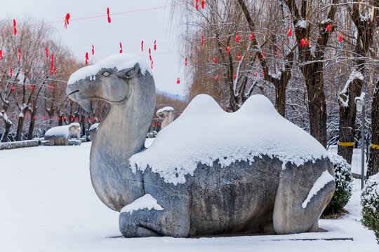 雪后的十三陵神路