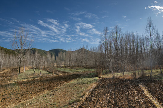 初春田野