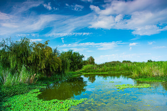 昆明湿地公园景观