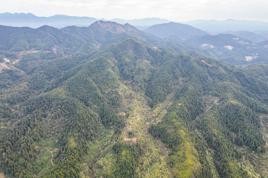 青山