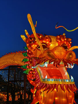 北京什刹海荷花市场巨型龙灯