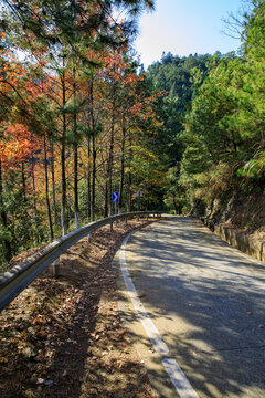 秋天的山中公路