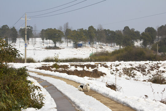 雪景乡村公路