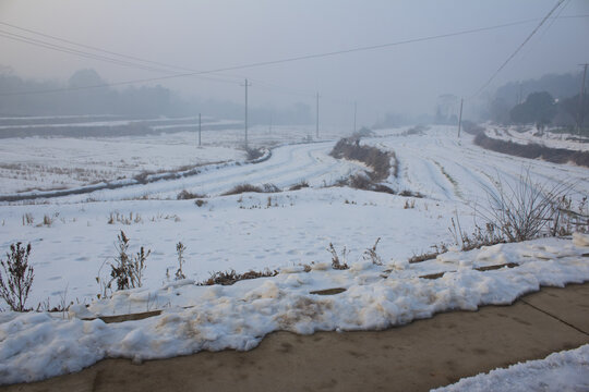 农田积雪