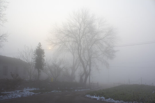 乡村大雾雪景
