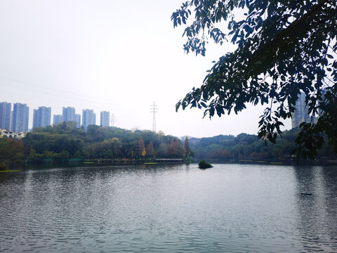 城市公园湖泊