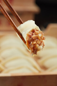 夹起来鲜肉洋葱饺子