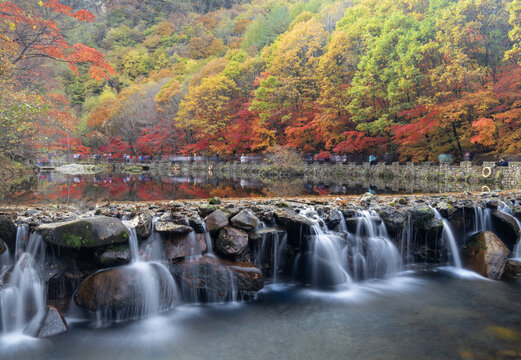 涓涓溪水映红叶