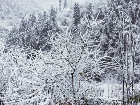 山里的雪