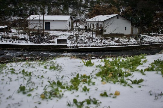雪中的房子蔬菜与溪流