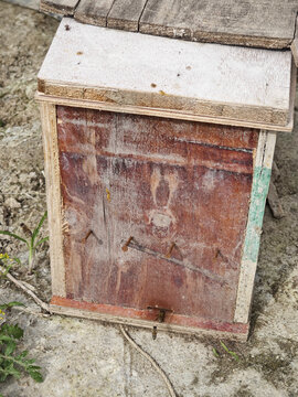 土蜂蜜蜂箱