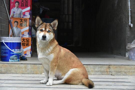 湖北十堰武当山