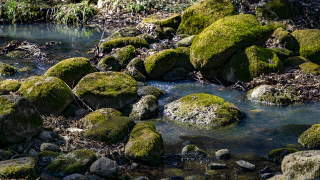 山间小溪里长满苔藓的石头