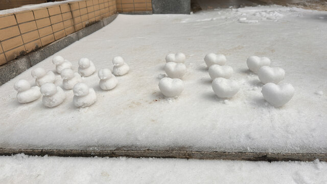 雪地动物