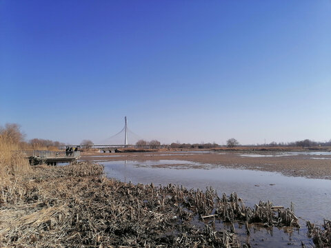 冬季的滹沱河湿地公园