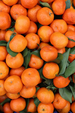 新鲜柑橘