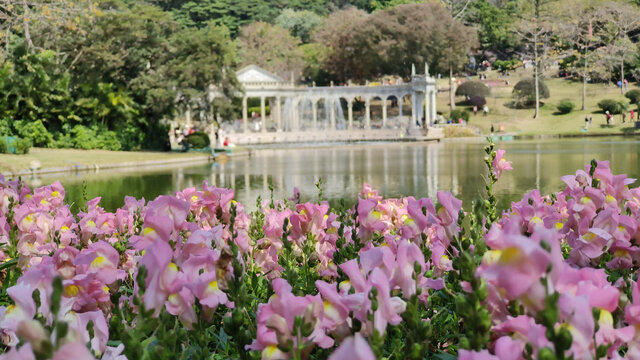 广州云台花园