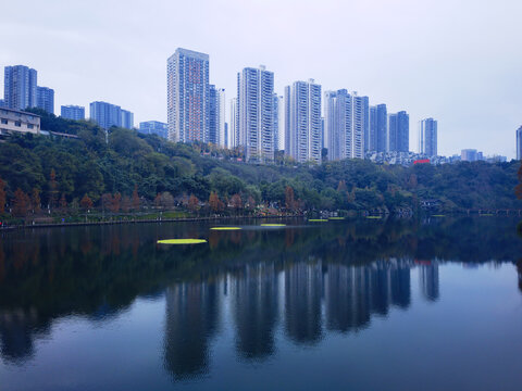 城市湿地公园湖泊摄影美景