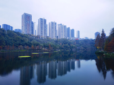 湿地公园湖泊摄影美景