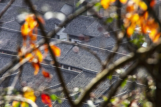 陕西汉中青木川