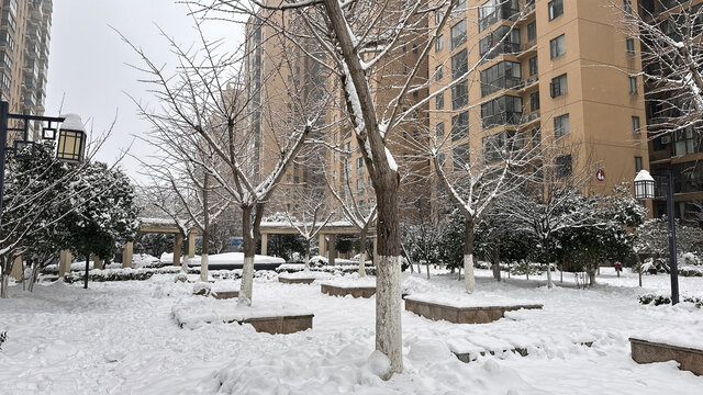 小区雪景