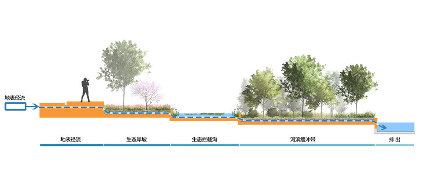 海绵城市地被径流处理工艺断面图