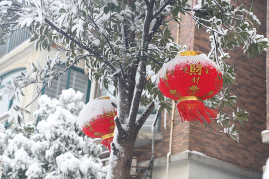 大雪中的灯笼