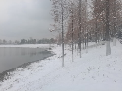 雪湖岸