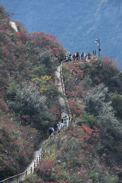 三峡之巅白帝城夔门瞿塘峡巫峡