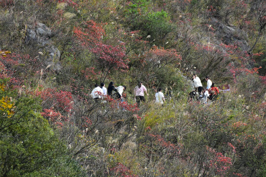 三峡之巅白帝城夔门瞿塘峡巫峡