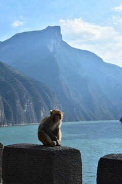 三峡之巅白帝城夔门瞿塘峡巫峡