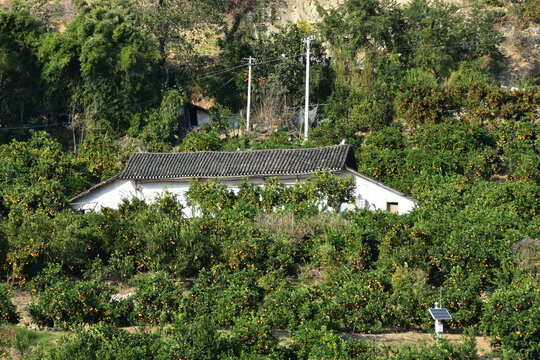 三峡之巅白帝城夔门瞿塘峡巫峡