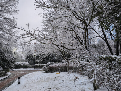 雪景