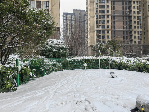 下雪