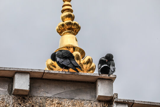 云南迪庆香格里拉松赞林寺