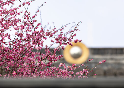 铁佛寺