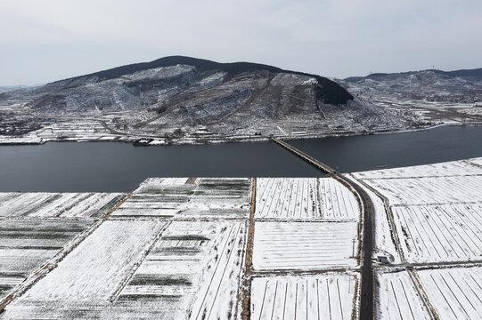 雪后麦田