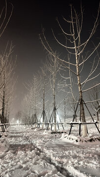 夜晚雪景