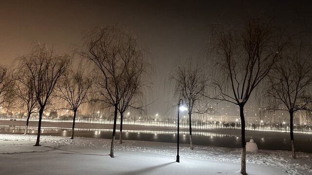 夜晚雪景