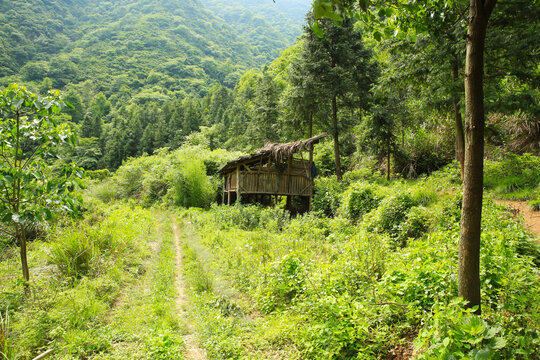 羊棚远景