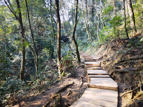 青城山登山步道